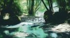 KUBISMAKOIREL 15